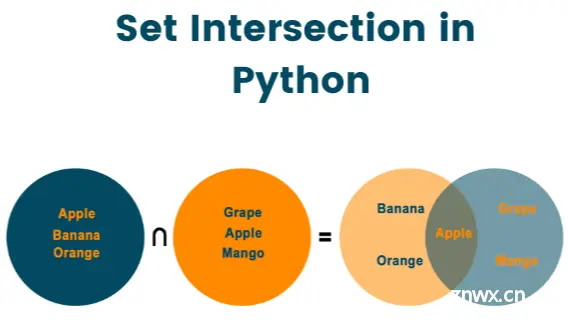 全网最适合入门的面向对象编程教程：39 Python常用复合数据类型-集合