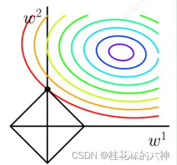 L1正则