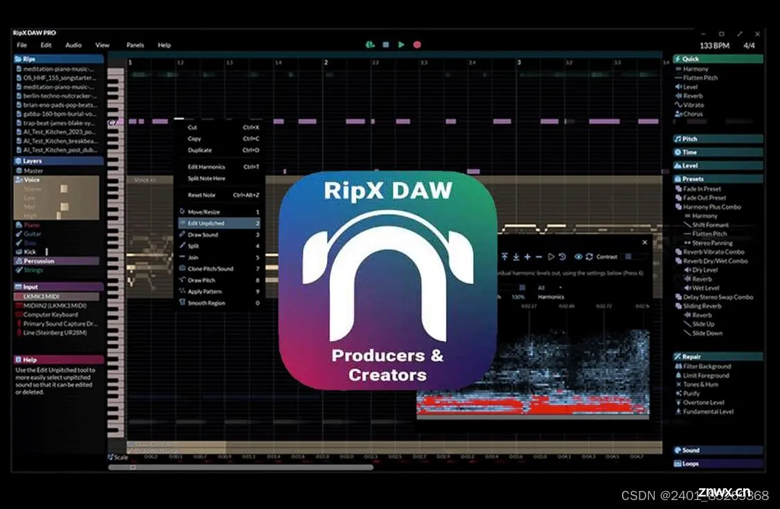 扒带神器AI音频转MIDI音频伴奏人声乐器分离RipX DAW PRO ,地表最强