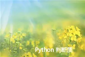 Python 判断质数的另一种方法 