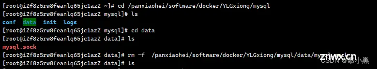 docker Mysql 报错 The designated data directory /var/lib/mysql/ is unusable. You can remove all files