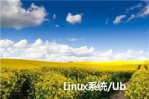 Linux系统/Ubuntu的桌面版clash