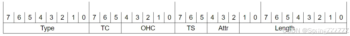 TLP-Common Packet Header Fields