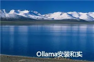 Ollama安装和实例部署（Linux版本）