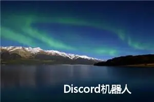 Discord机器人与Webhooks：构建实时交互