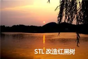 STL 改造红黑树 模拟封装set和map 