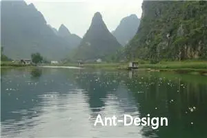 Ant-Design-Vue