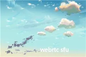 webrtc sfu性能压测