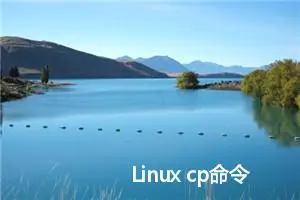 Linux cp命令教程：如何复制文件和目录(附案例详解和注意事项)