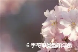 6.字符串类型和年龄游戏的升级 