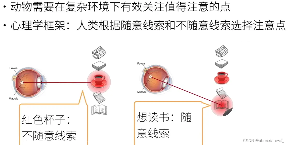 比较