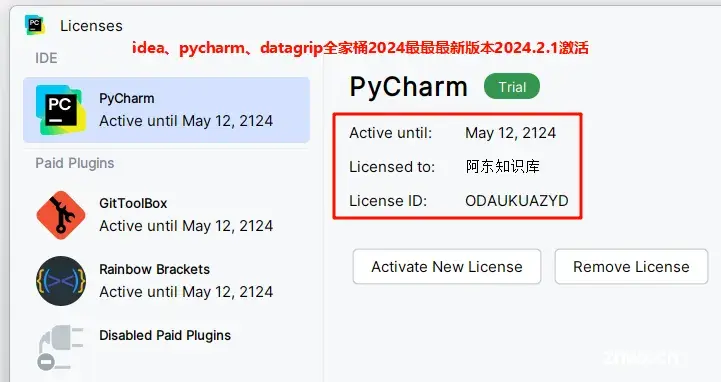 idea全家桶2024新特性以及idea2024.2.x最最最新版本安装、activate 