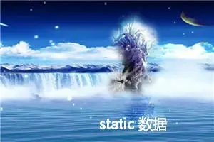 static 数据 编程中的作用 