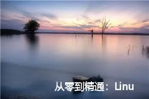 从零到精通：Linux上的Conda环境详细教程