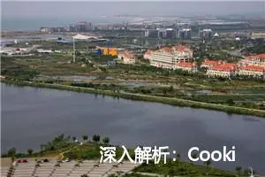 深入解析：Cookie 与 Session 的区别及应用场景