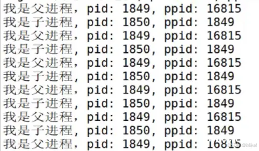 Linux 进程概念 进程状态 fock函数讲解