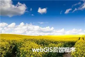 webGIS后端程序员学习路线