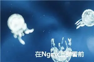 在Nginx上部署前端Vue项目，超级简单！！