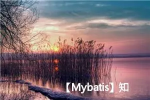 【Mybatis】知识点总结