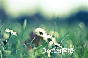 Docker网络 