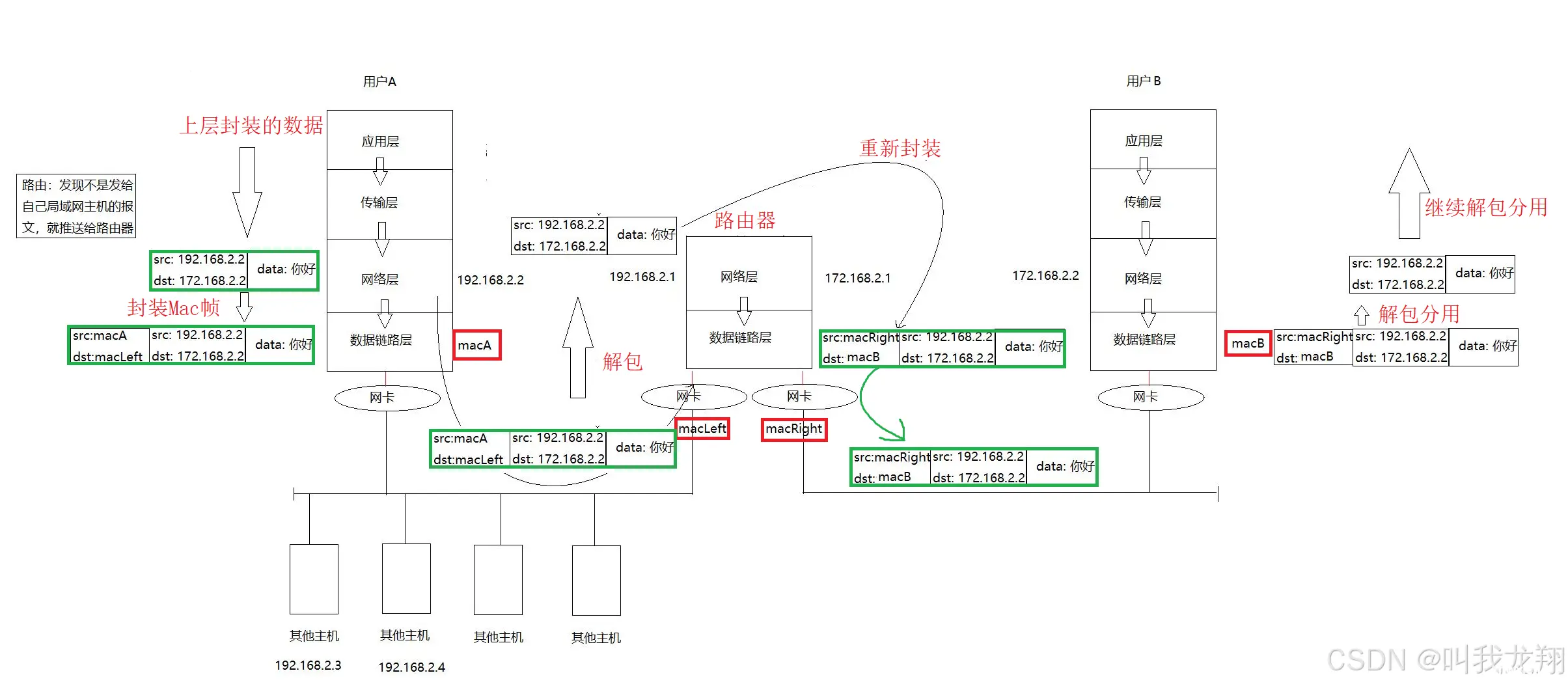 【计网】从零开始认识网络socket