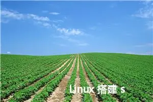 Linux 搭建 sftp 服务器详解