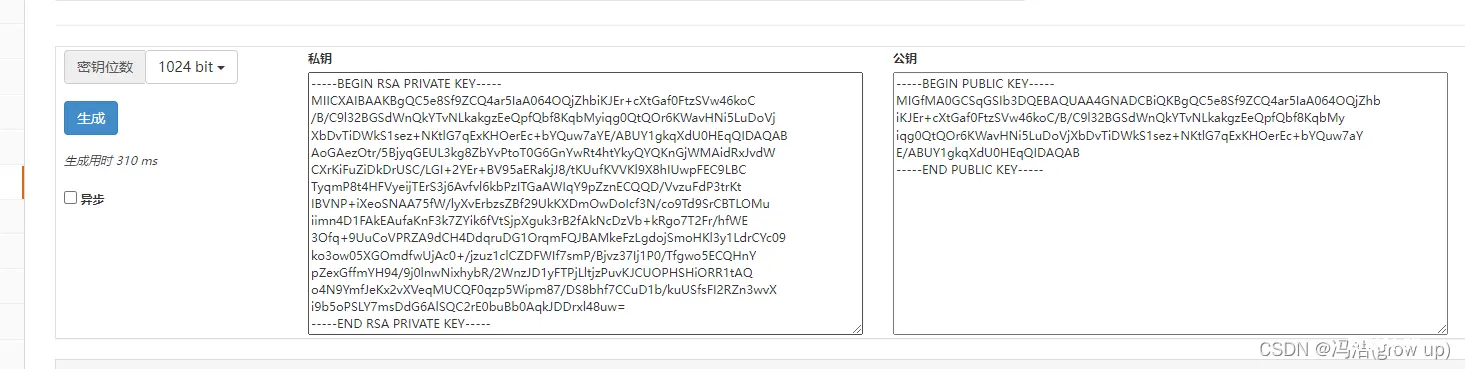 前端开发之jsencrypt加密解密的使用方法和使用示例