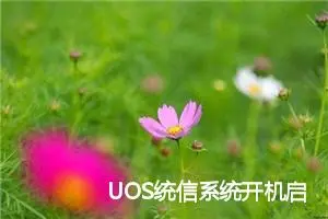 UOS统信系统开机启动故障