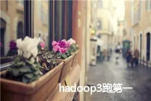 hadoop3跑第一个例子wordcount