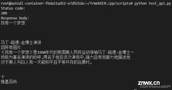 用C++写一个高性能OCR推理服务-TrWebOCR.cpp