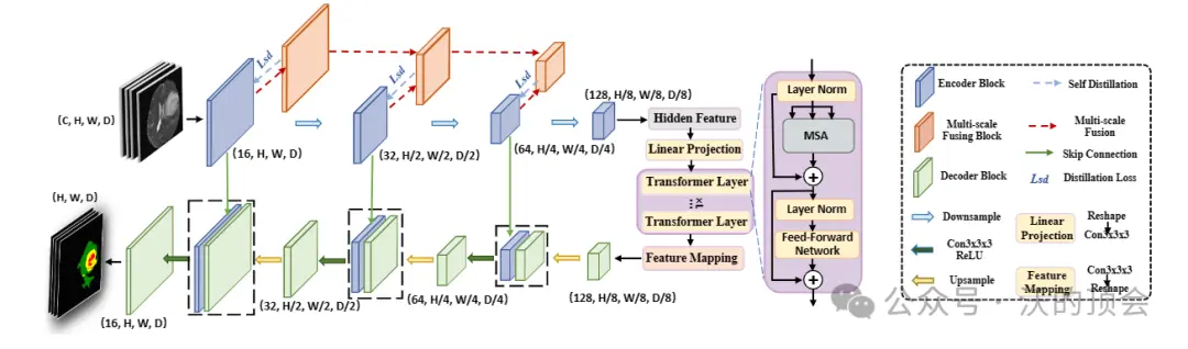 医学图像分割，Transformer+UNet的14种融合方法