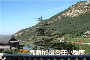 判断h5是否在小程序webview