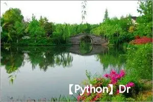 【Python】DrissionPage：一款轻量级的浏览器自动化和网页采集工具