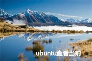 ubuntu查看当前系统版本