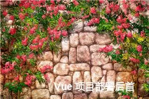 Vue 项目部署后首页白屏问题排查与解决