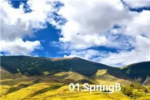 01.SpringBoot开发杂记-使用工具类，静态读取配置文件中的配置的写法 