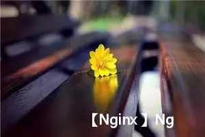 【Nginx 】Nginx 部署前端 vue 项目