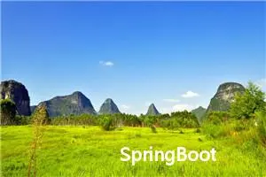 SpringBoot注解大全（详细） 