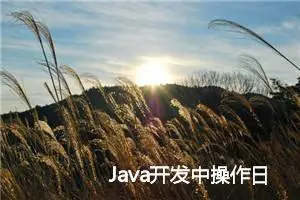 Java开发中操作日志的作用和模块 