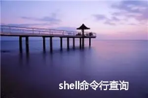 shell命令行查询文件中的内容