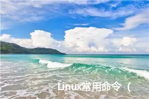 Linux常用命令（超详细）看这一篇就够了