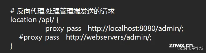 苍穹外卖前端登录界面打不开+登录失败解决方案