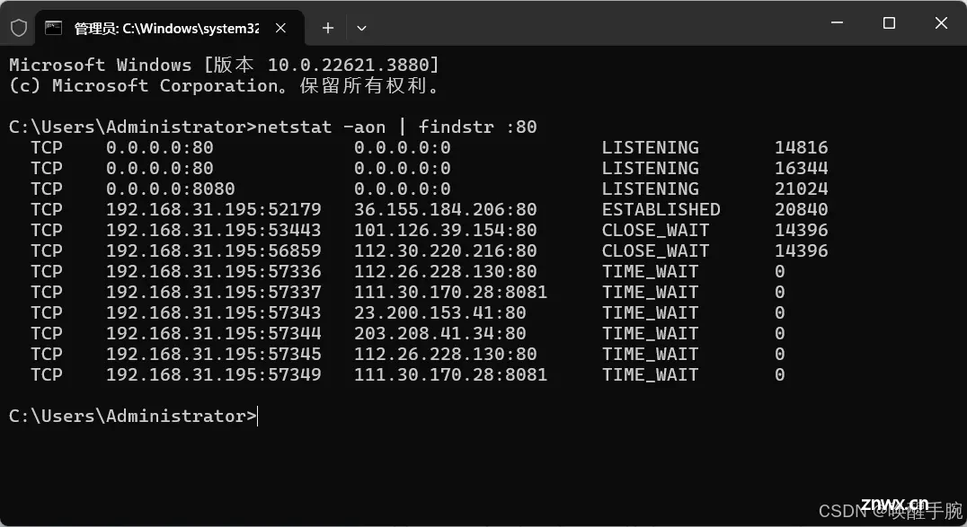 2024 年最新 windows 操作系统搭建部署 nginx 服务器应用详细教程（更新中）