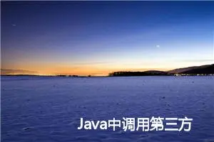 Java中调用第三方接口的详细指南