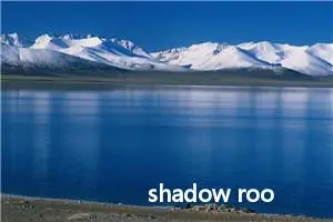 shadow root是什么