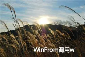 WinFrom调用webapi接口方法及其应用实例