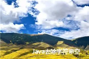 Java去除字符串空格的几种方法