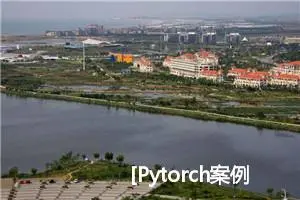 [Pytorch案例实践005]蚂蚁&蜜蜂图像分类