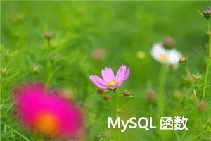 MySQL 函数