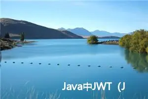 Java中JWT（JSON Web Token）的运用